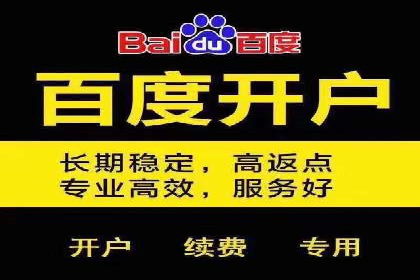 某某sem代运营公司：精准投放的背后策略